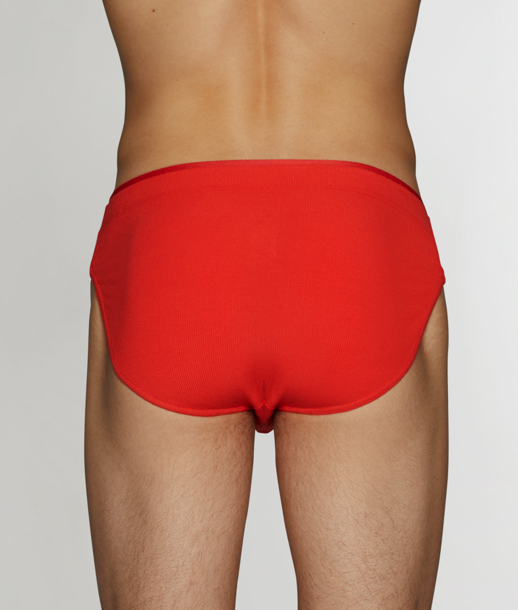 2(X)IST Modal Rib Brief 2(X)IST Modal Rib Brief Bittersweet