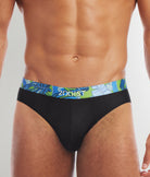 2(X)IST Sliq Brief 2(X)IST Sliq Brief Black-beauty-w-beverly-hills-palm-waistband