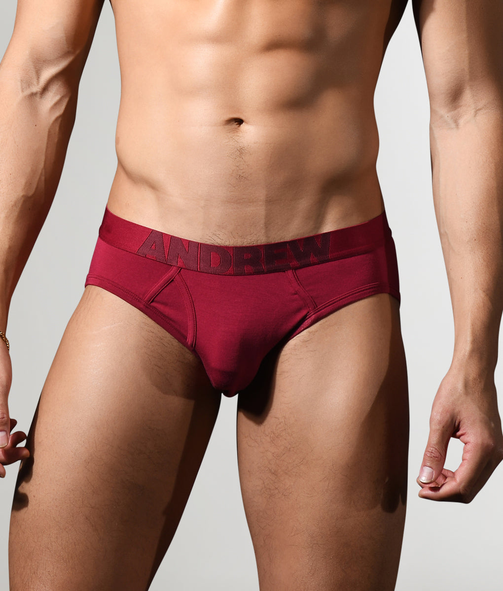 Andrew Christian Bespoke Modal Brief Burgundy