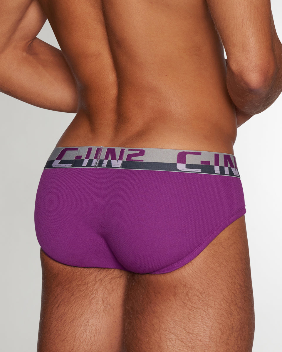 C-IN2 C-Theory Brief C-IN2 C-Theory Brief Pryce-purple
