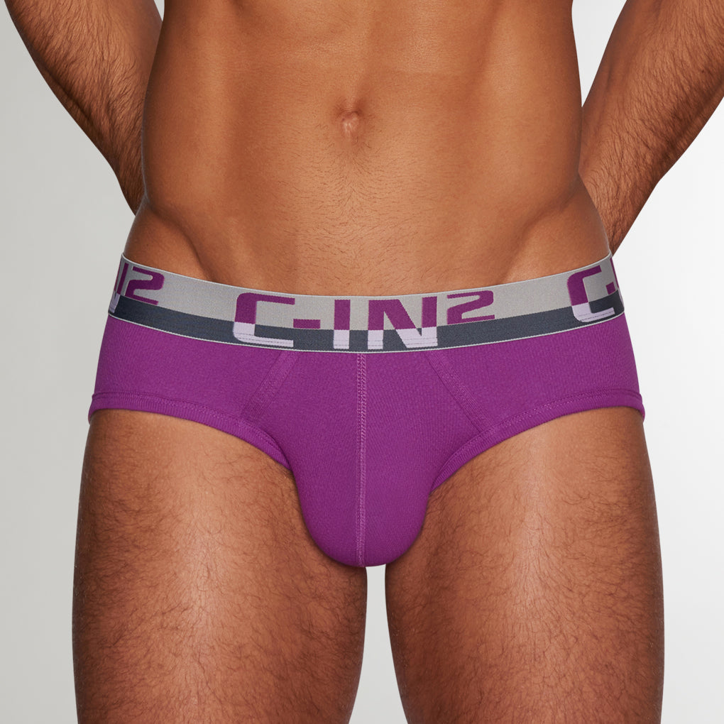 C-IN2 C-Theory Brief C-IN2 C-Theory Brief Pryce-purple