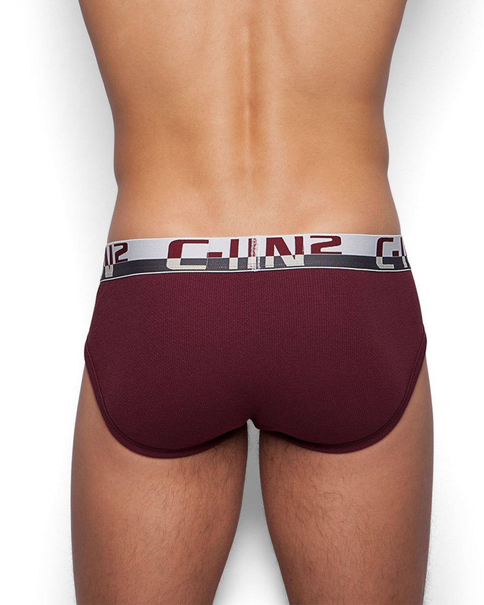 C-IN2 C-Theory Brief C-IN2 C-Theory Brief Cherry-pop-red