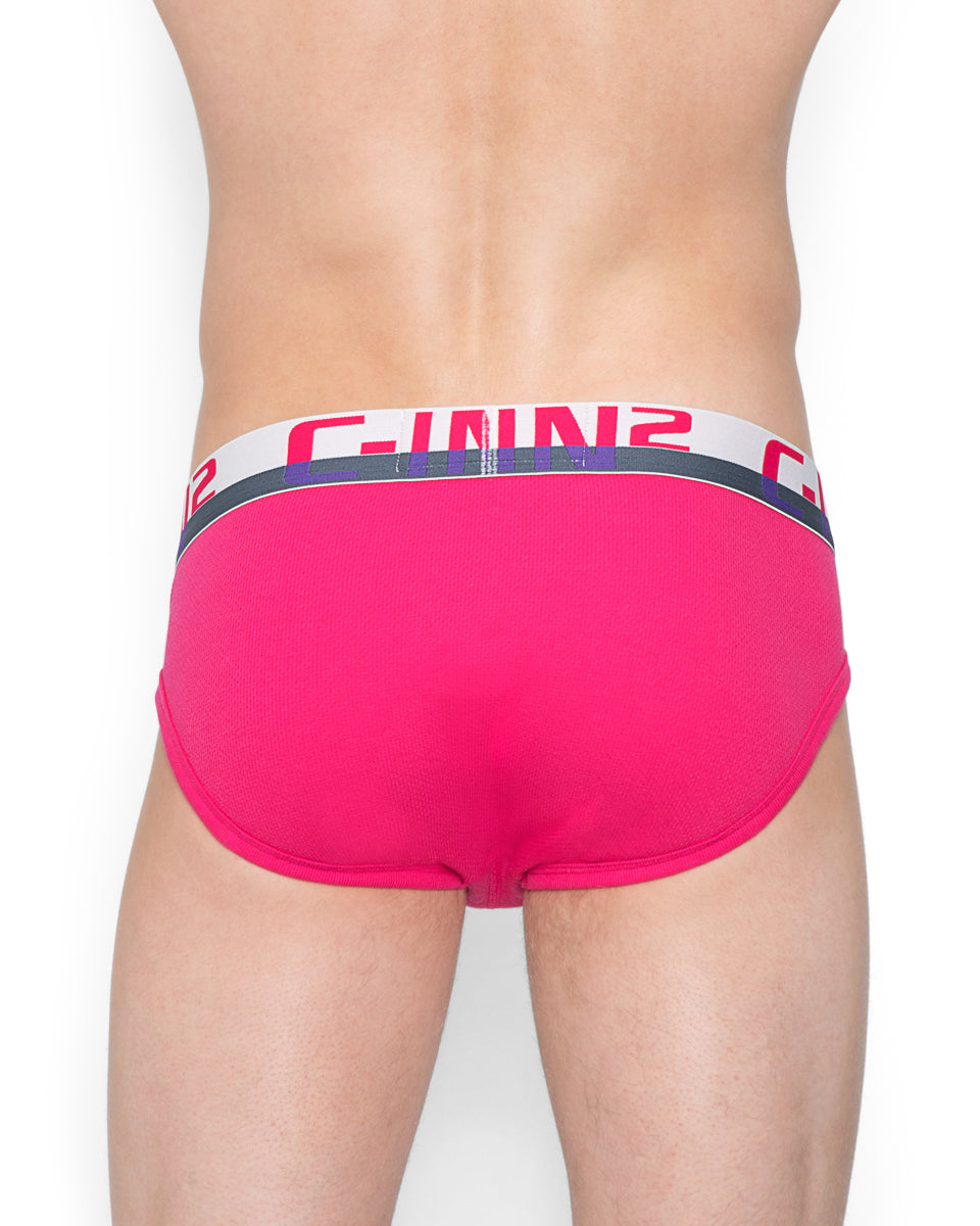 C-IN2 C-Theory Brief C-IN2 C-Theory Brief Gallica-red