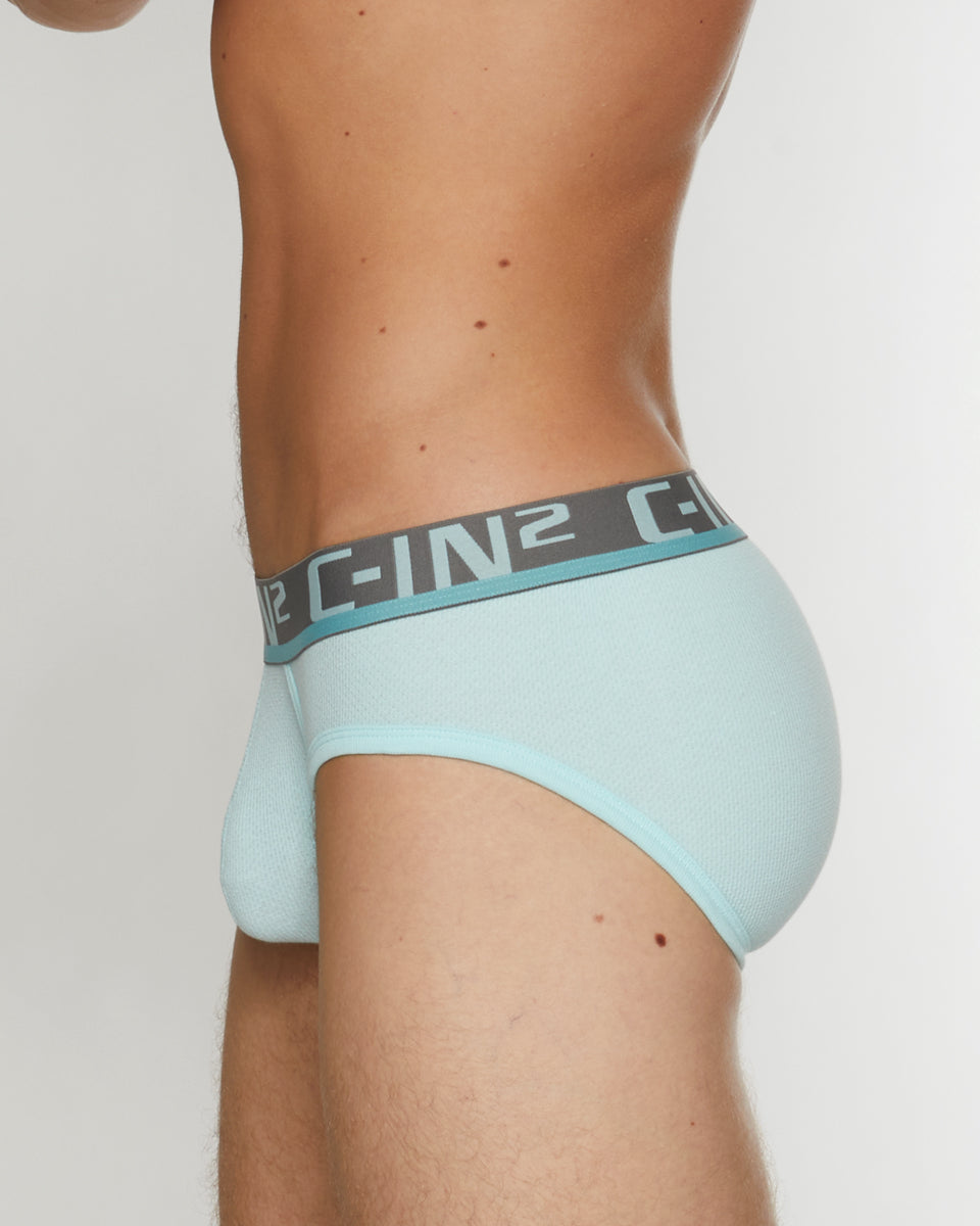 C-IN2 C-Theory Brief C-IN2 C-Theory Brief Blue