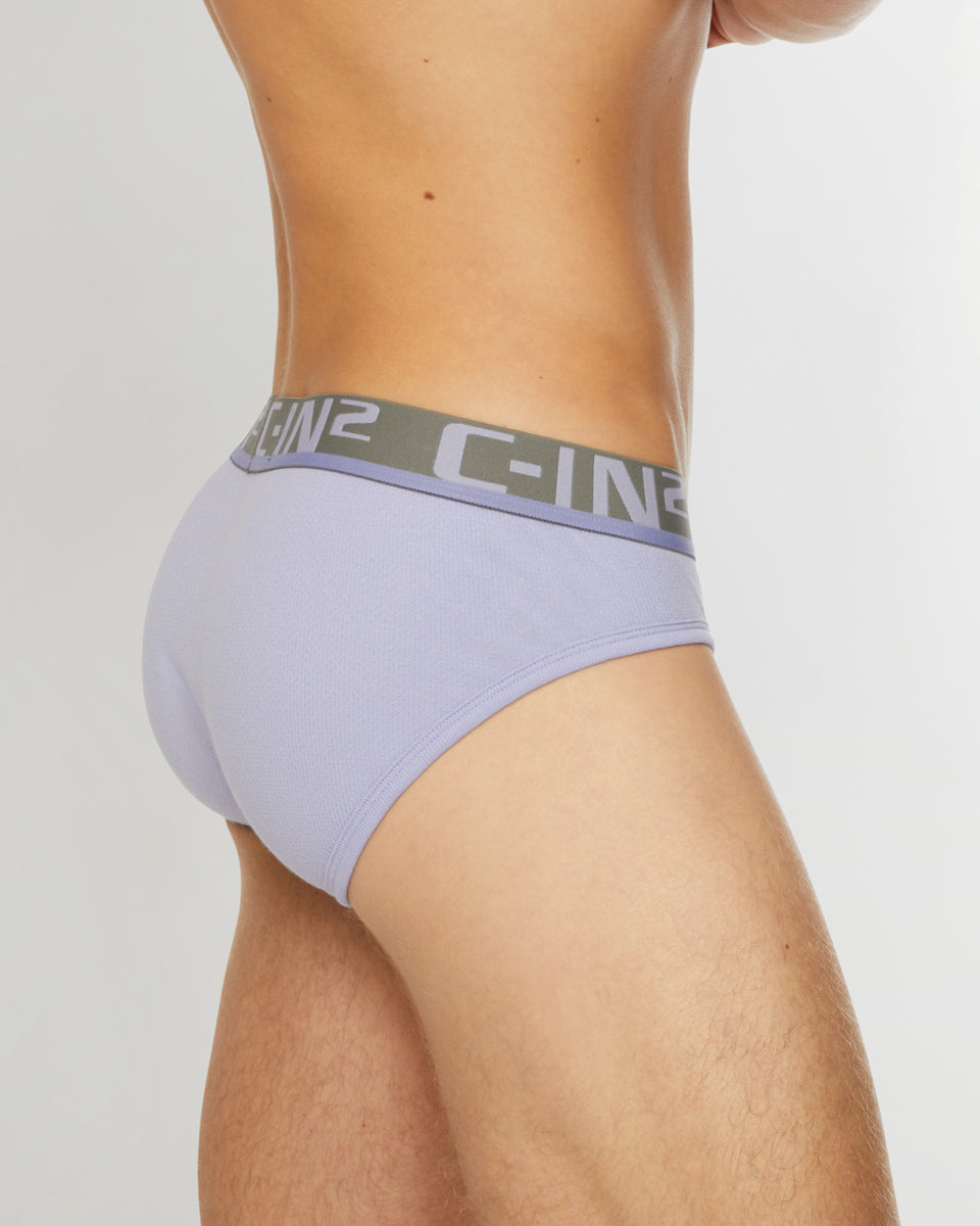 C-IN2 C-Theory Brief C-IN2 C-Theory Brief Pablo-purple