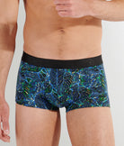 Hom Jarrod Trunk Hom Jarrod Trunk Blue-print