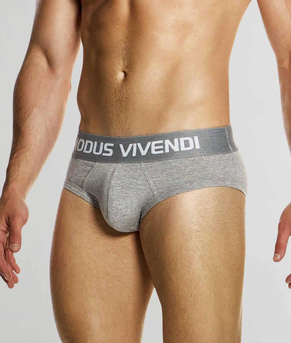 Modus Vivendi Classic Brief Grey