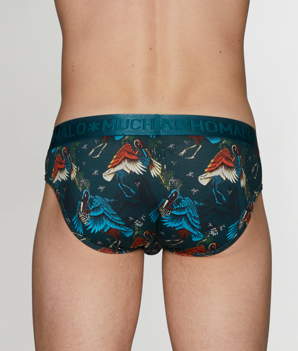 Muchachomalo Bird Brief Muchachomalo Bird Brief Print-a-teal