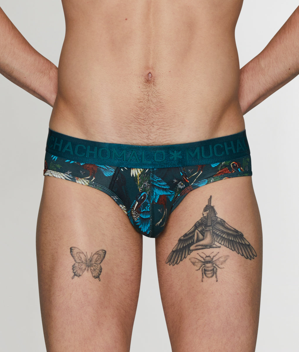 Muchachomalo Bird Brief Muchachomalo Bird Brief Print-a-teal