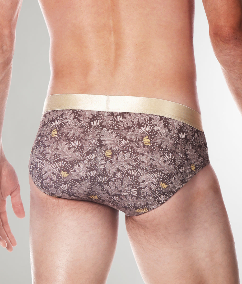 Parke & Ronen Printed Low-Rise Brief Parke & Ronen Printed Low-Rise Brief Gold-cassini