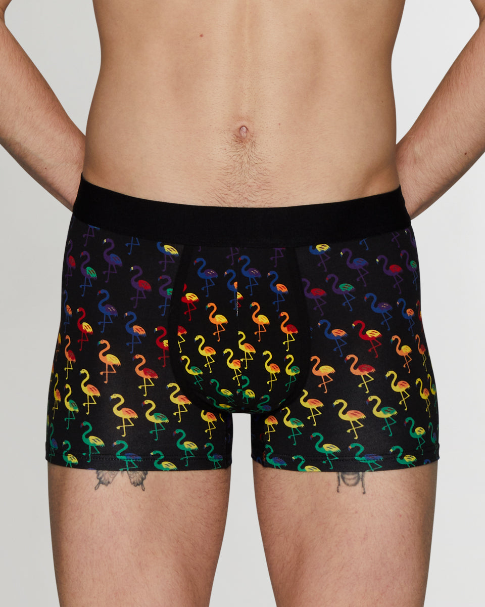 Unsimply Stitched Pride Flamingos Trunk Unsimply Stitched Pride Flamingos Trunk Pride-colors