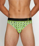 Impetus Geo Brief Impetus Geo Brief Green