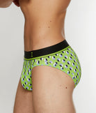 Impetus Geo Brief Impetus Geo Brief Green